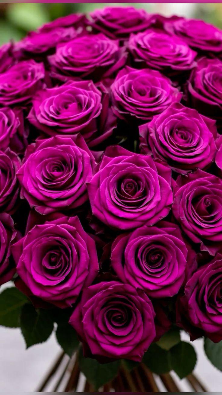 Professional floral arrangement in modern corporate setting